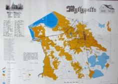 Myllypelto