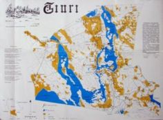 Tiuri